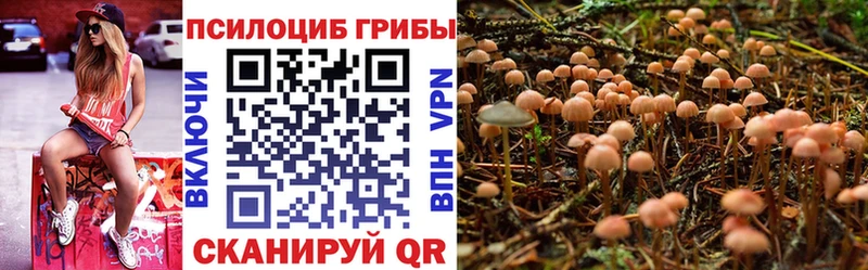 Псилоцибиновые грибы Magic Shrooms  hydra ссылка  Борисоглебск 